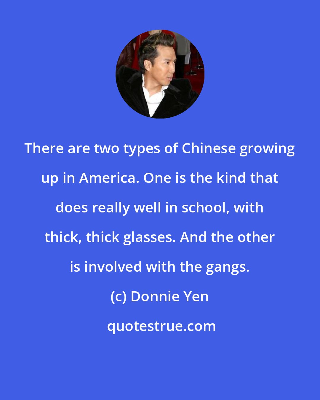 Donnie Yen: There are two types of Chinese growing up in America. One is the kind that does really well in school, with thick, thick glasses. And the other is involved with the gangs.