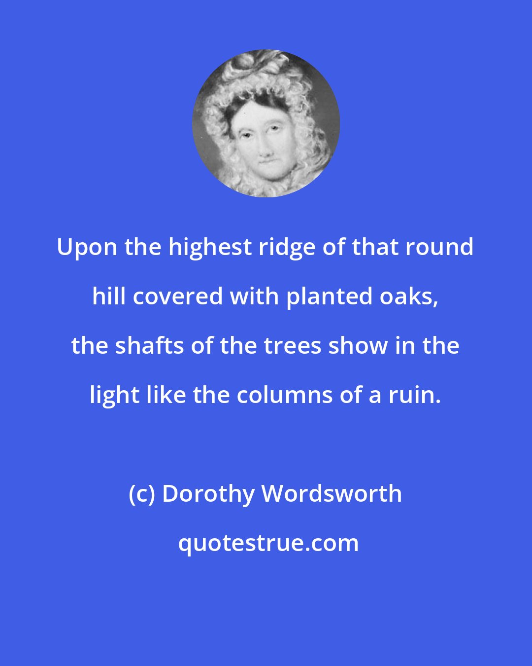 Dorothy Wordsworth: Upon the highest ridge of that round hill covered with planted oaks, the shafts of the trees show in the light like the columns of a ruin.