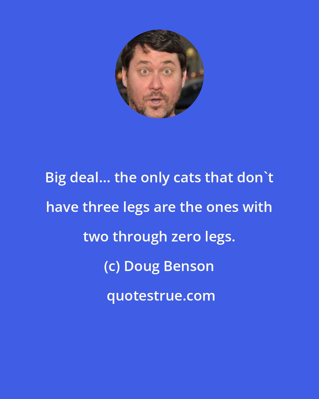 Doug Benson: Big deal... the only cats that don't have three legs are the ones with two through zero legs.