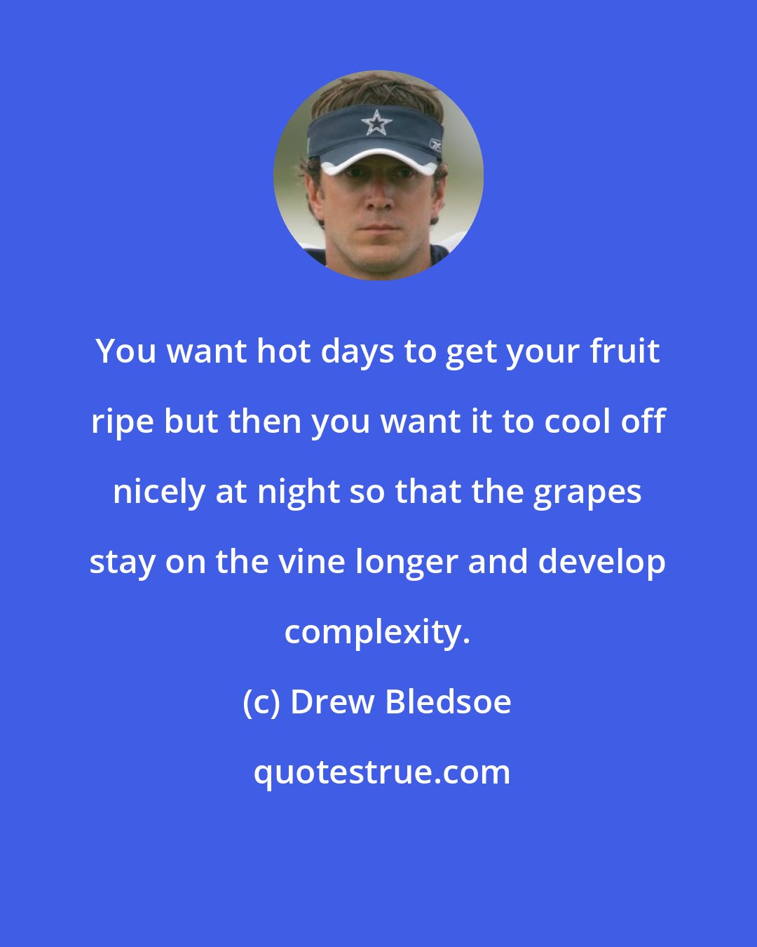 Drew Bledsoe: You want hot days to get your fruit ripe but then you want it to cool off nicely at night so that the grapes stay on the vine longer and develop complexity.