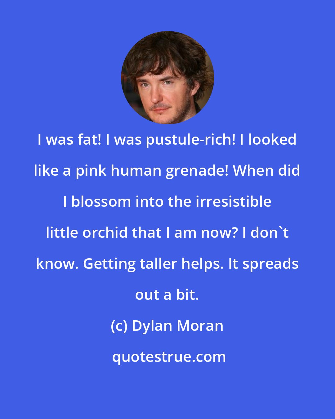 Dylan Moran: I was fat! I was pustule-rich! I looked like a pink human grenade! When did I blossom into the irresistible little orchid that I am now? I don't know. Getting taller helps. It spreads out a bit.