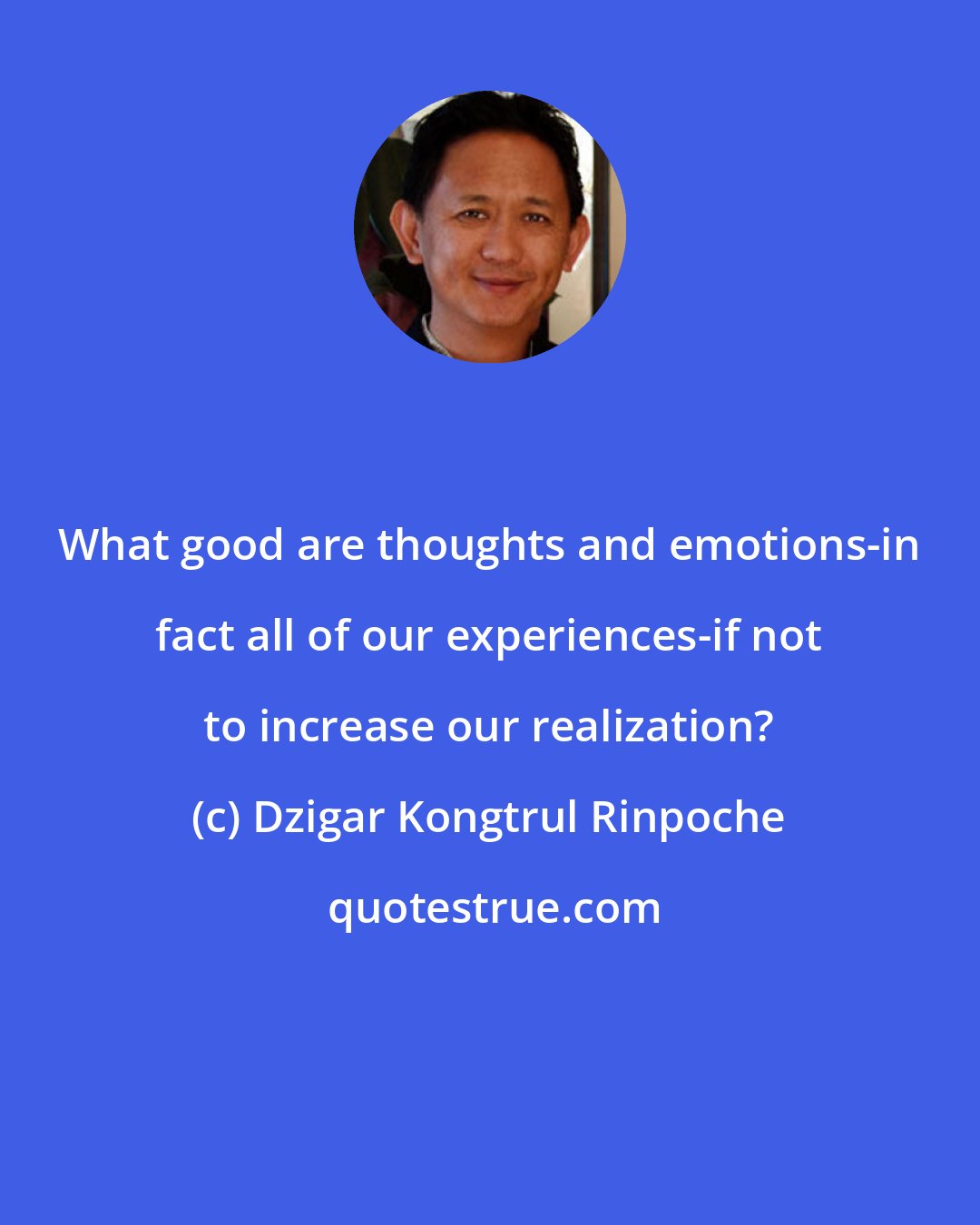 Dzigar Kongtrul Rinpoche: What good are thoughts and emotions-in fact all of our experiences-if not to increase our realization?