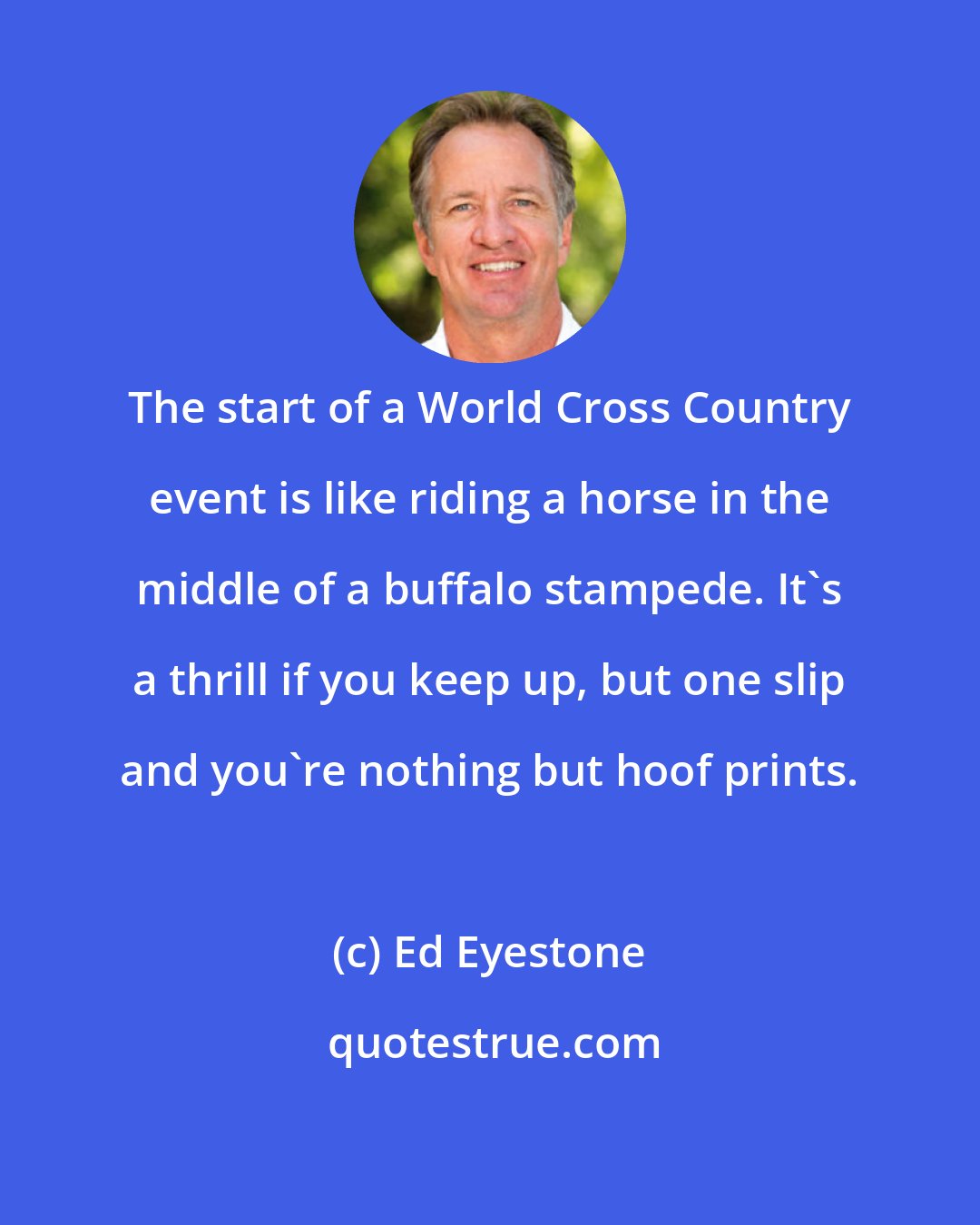 Ed Eyestone: The start of a World Cross Country event is like riding a horse in the middle of a buffalo stampede. It's a thrill if you keep up, but one slip and you're nothing but hoof prints.