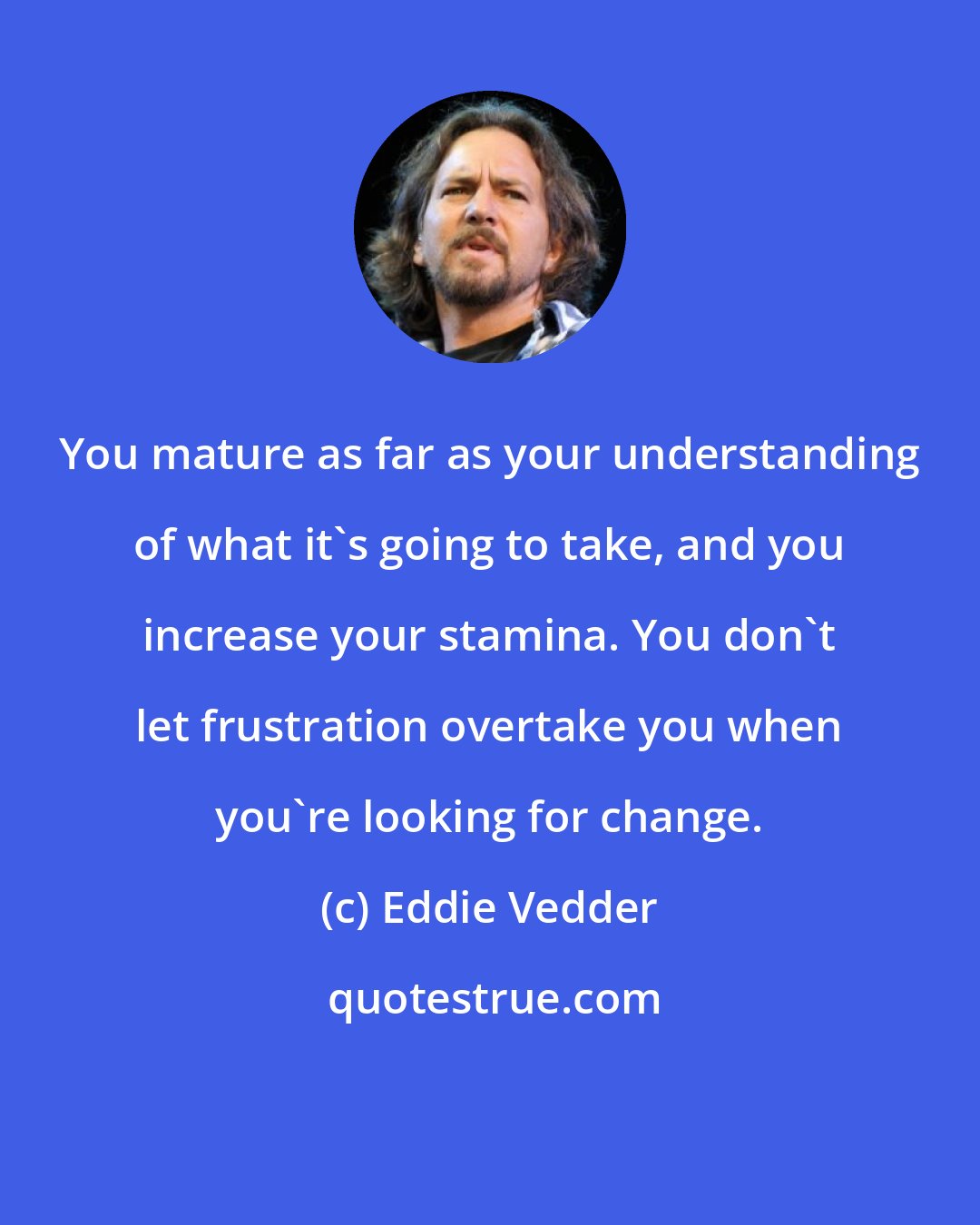 Eddie Vedder: You mature as far as your understanding of what it's going to take, and you increase your stamina. You don't let frustration overtake you when you're looking for change.