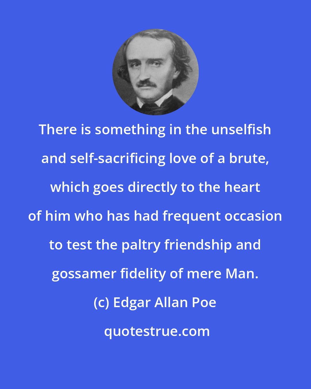 Edgar Allan Poe: There is something in the unselfish and self-sacrificing love of a brute, which goes directly to the heart of him who has had frequent occasion to test the paltry friendship and gossamer fidelity of mere Man.