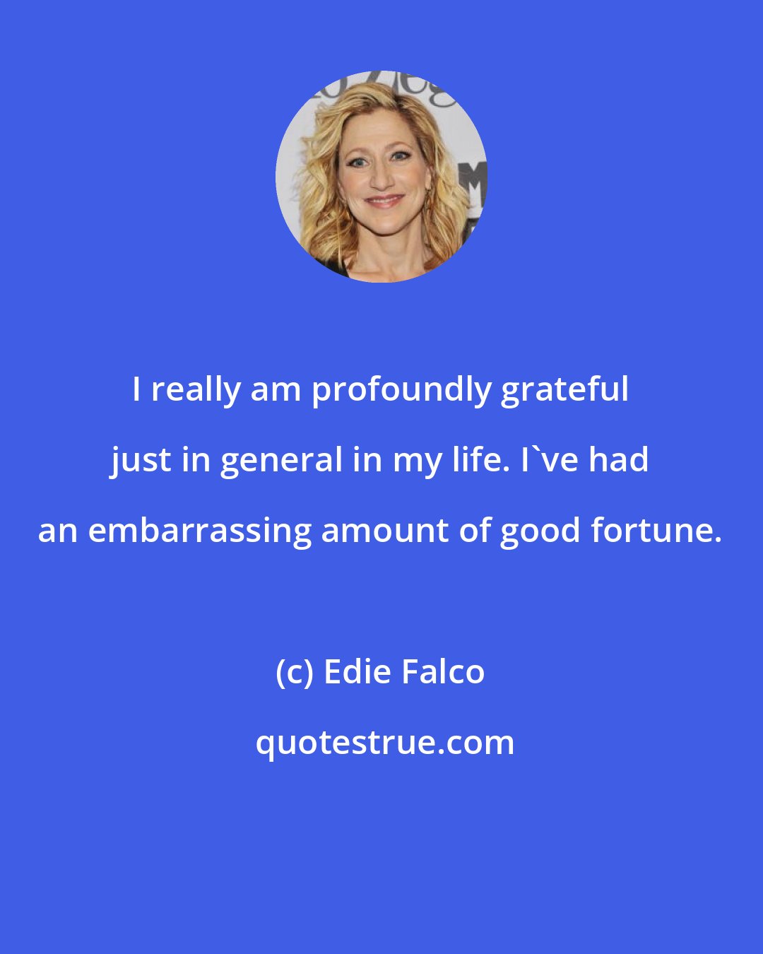 Edie Falco: I really am profoundly grateful just in general in my life. I've had an embarrassing amount of good fortune.