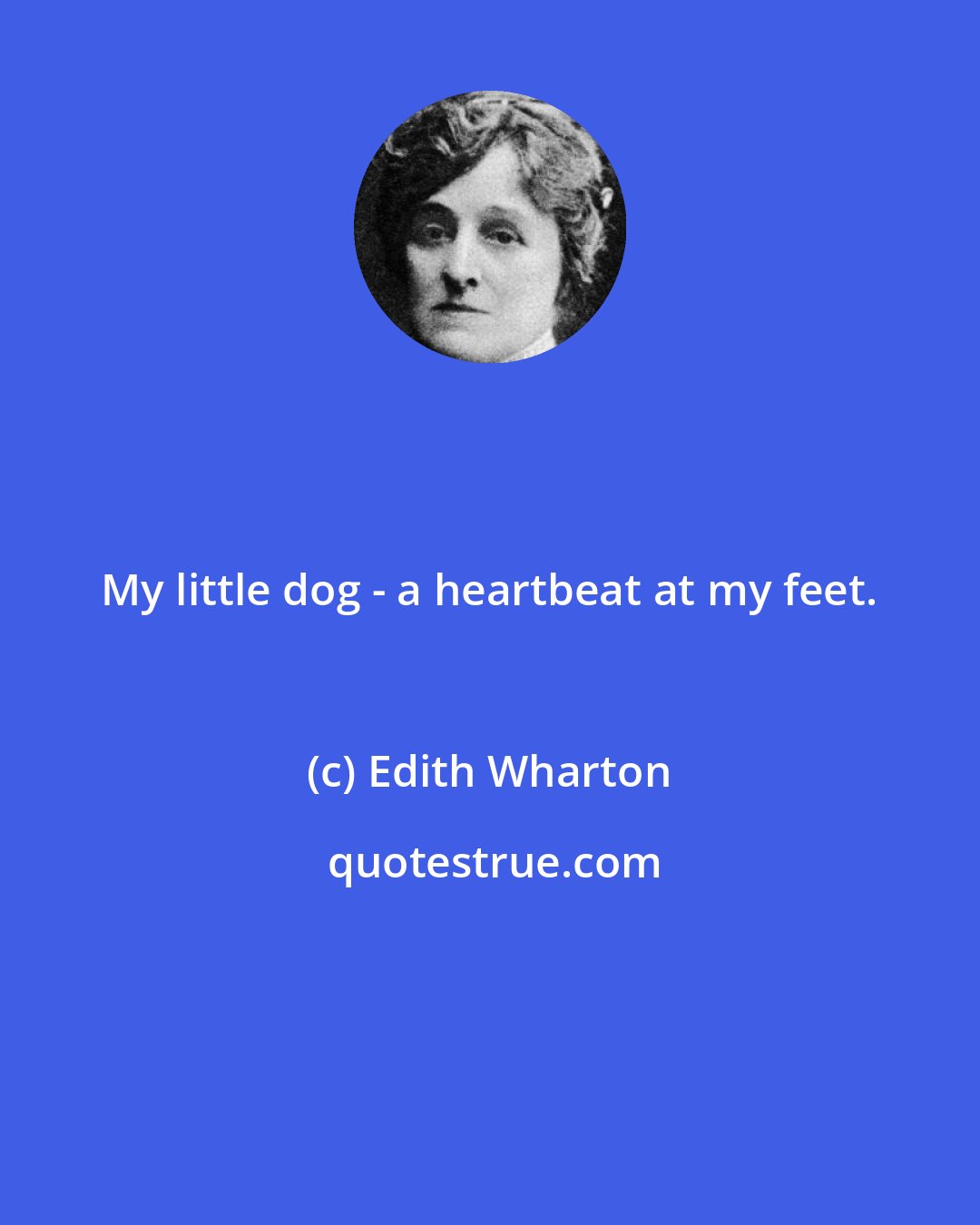 Edith Wharton: My little dog - a heartbeat at my feet.