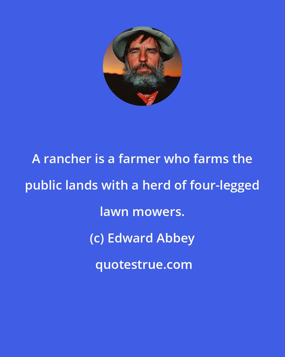 Edward Abbey: A rancher is a farmer who farms the public lands with a herd of four-legged lawn mowers.