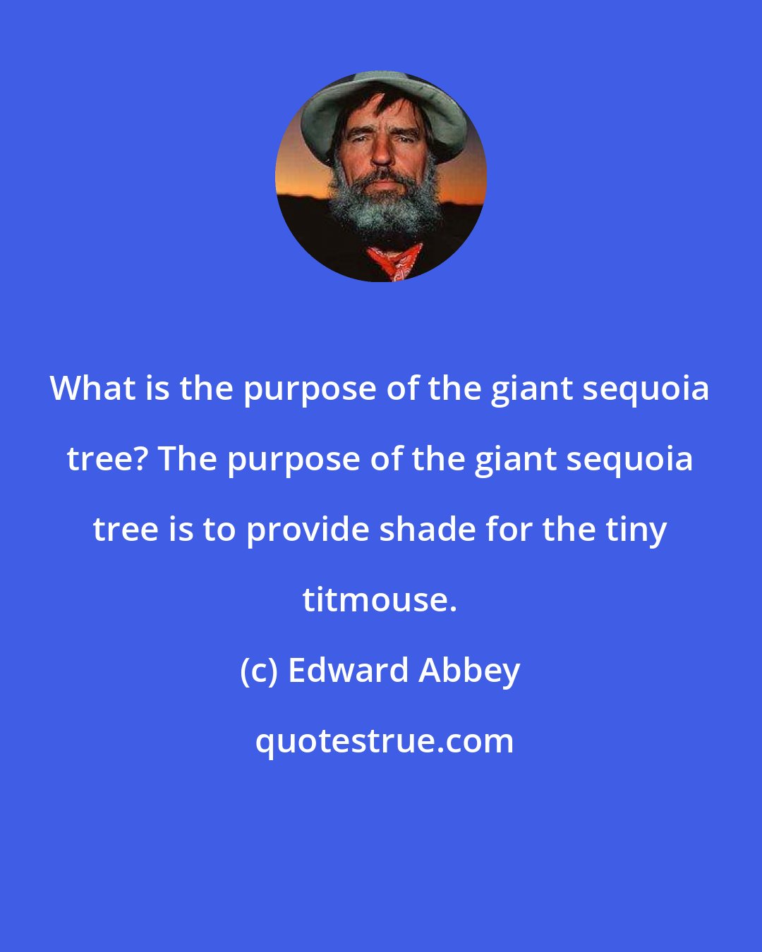 Edward Abbey: What is the purpose of the giant sequoia tree? The purpose of the giant sequoia tree is to provide shade for the tiny titmouse.