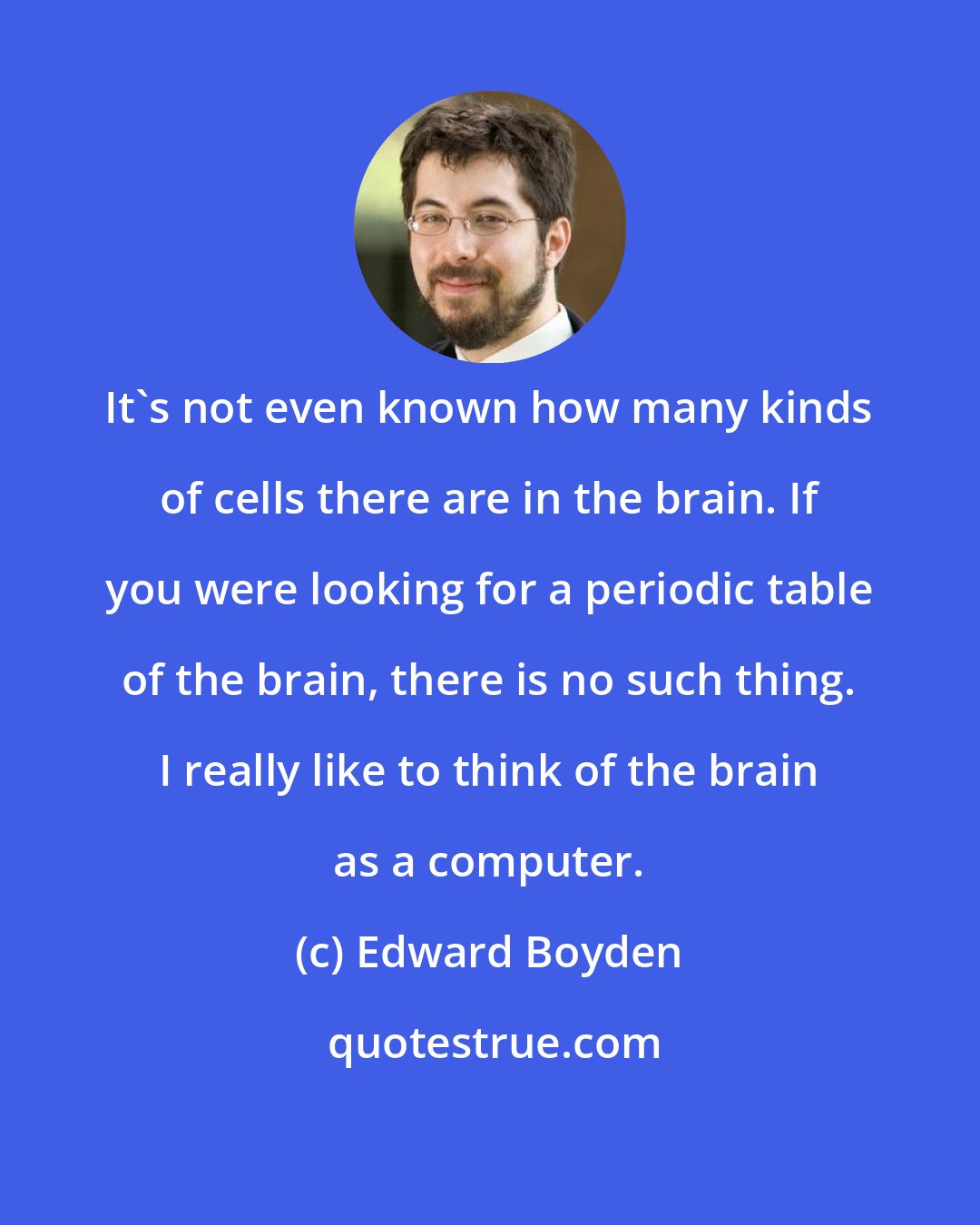 Edward Boyden: It's not even known how many kinds of cells there are in the brain. If you were looking for a periodic table of the brain, there is no such thing. I really like to think of the brain as a computer.