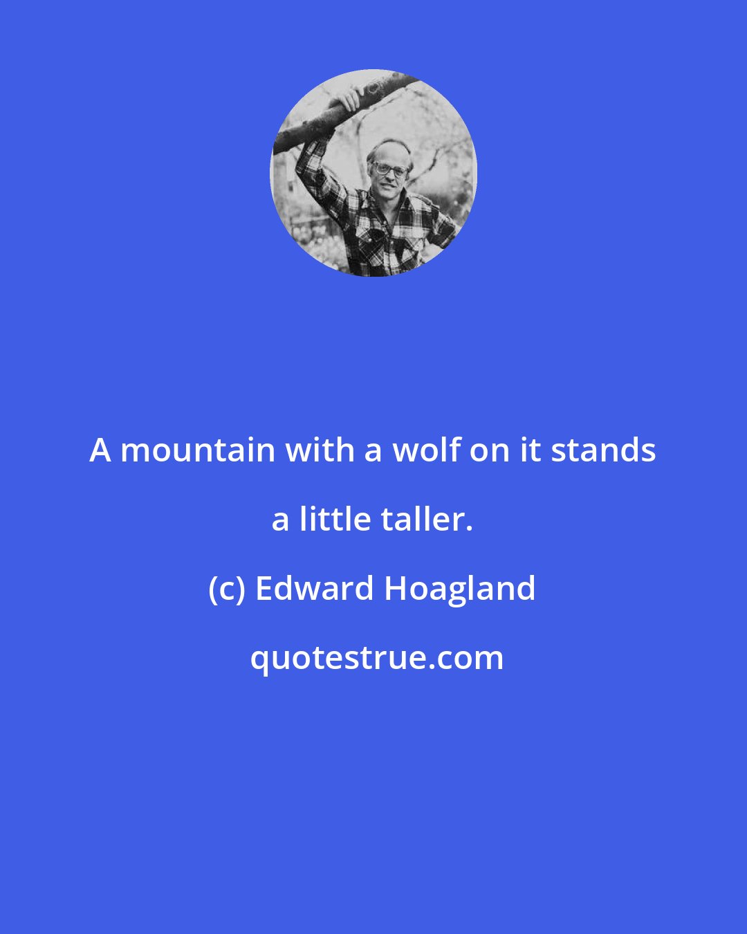 Edward Hoagland: A mountain with a wolf on it stands a little taller.