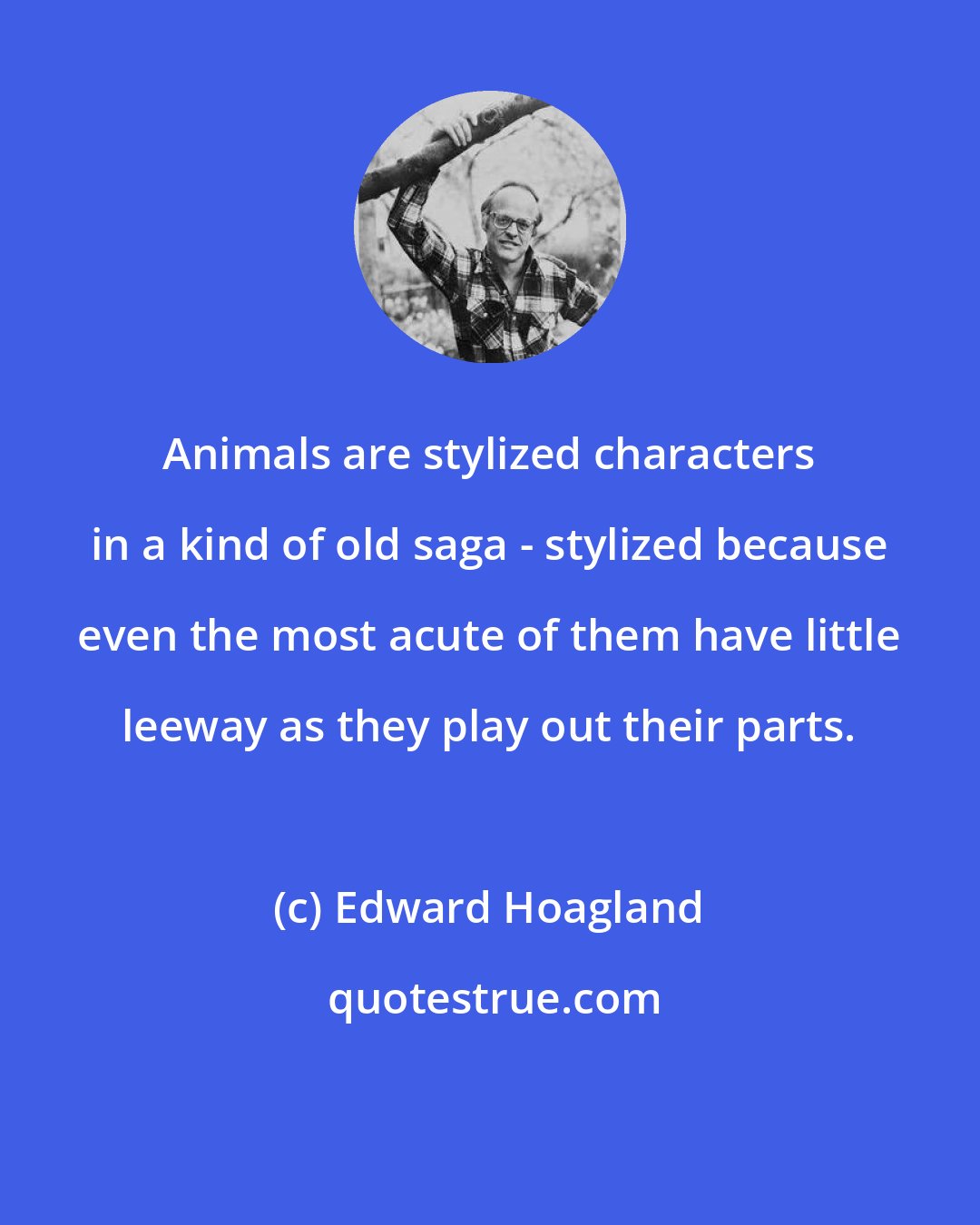 Edward Hoagland: Animals are stylized characters in a kind of old saga - stylized because even the most acute of them have little leeway as they play out their parts.