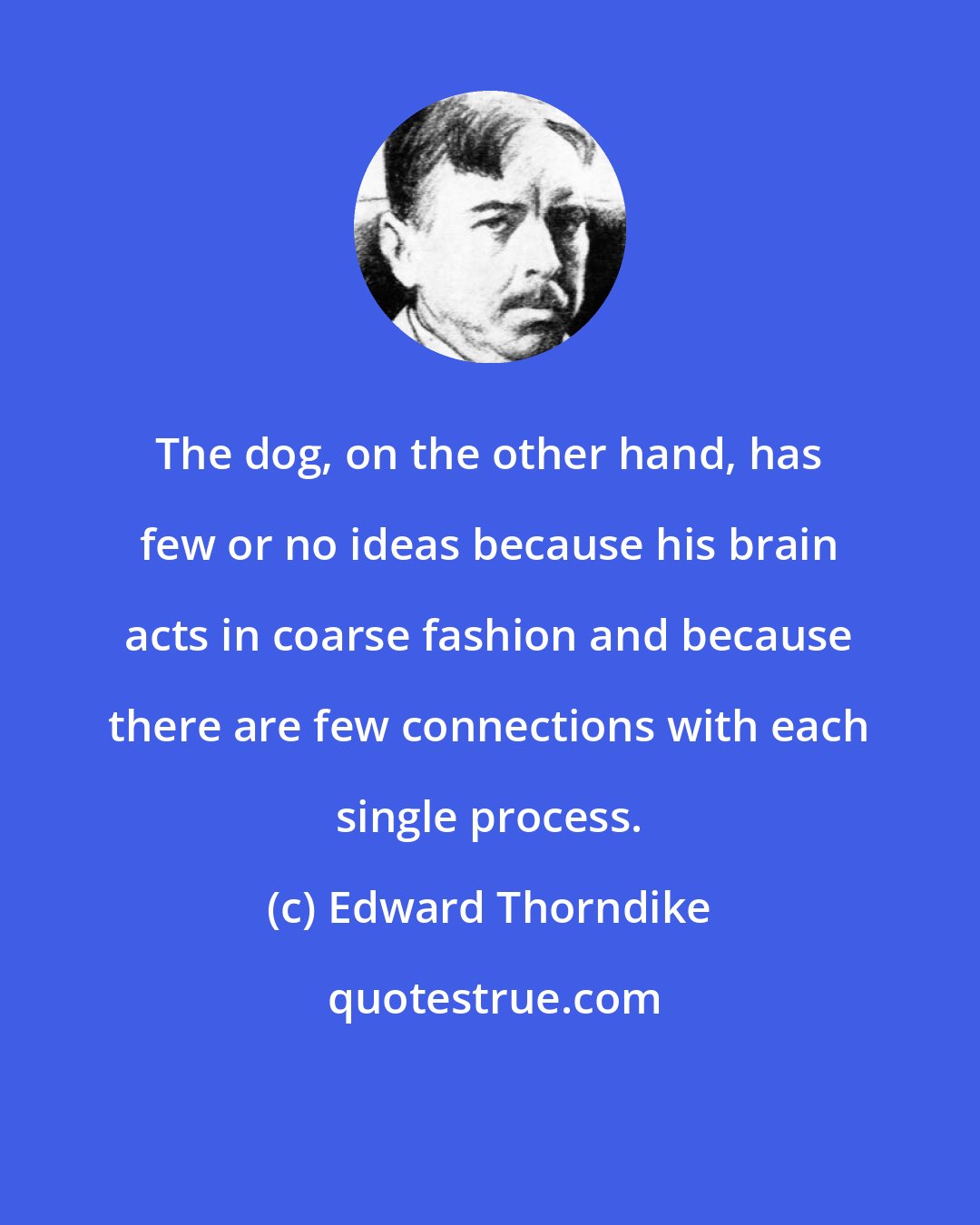 Edward Thorndike: The dog, on the other hand, has few or no ideas because his brain acts in coarse fashion and because there are few connections with each single process.