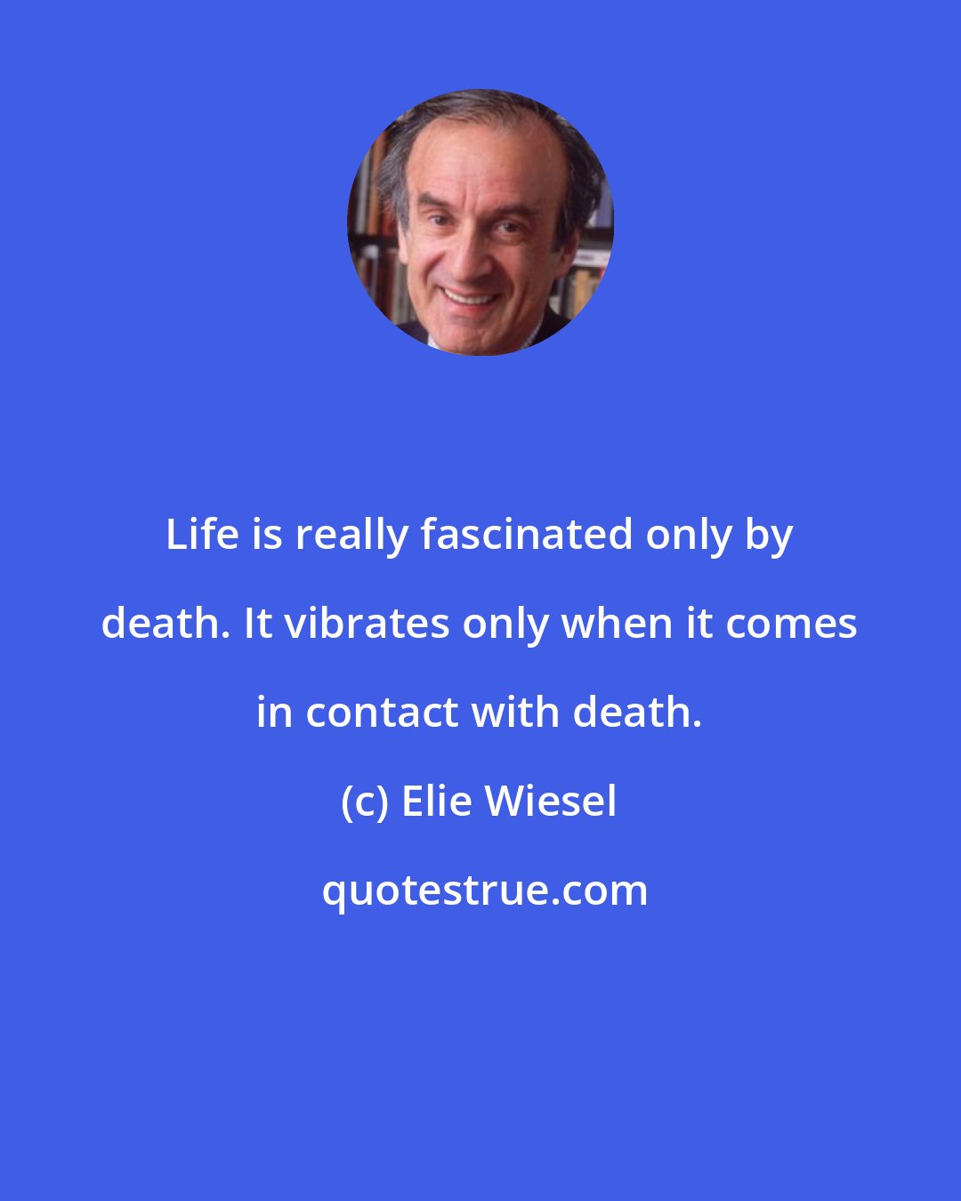 Elie Wiesel: Life is really fascinated only by death. It vibrates only when it comes in contact with death.