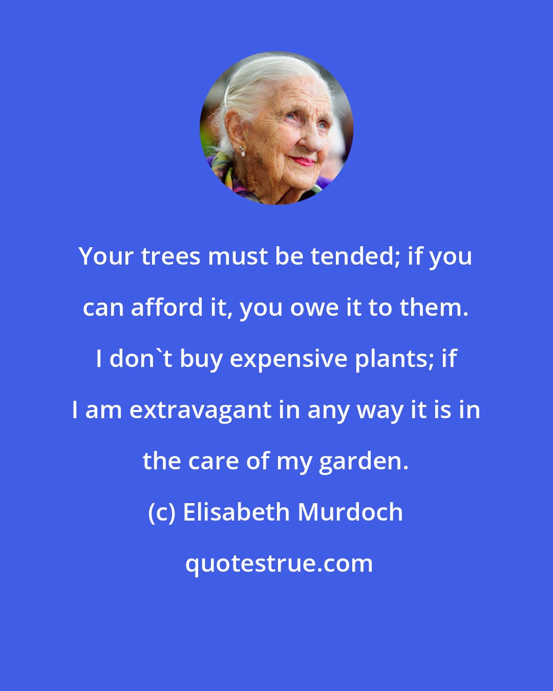 Elisabeth Murdoch: Your trees must be tended; if you can afford it, you owe it to them. I don't buy expensive plants; if I am extravagant in any way it is in the care of my garden.