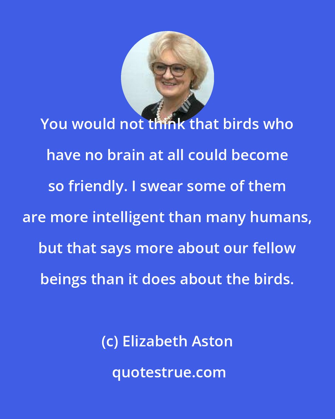 Elizabeth Aston: You would not think that birds who have no brain at all could become so friendly. I swear some of them are more intelligent than many humans, but that says more about our fellow beings than it does about the birds.