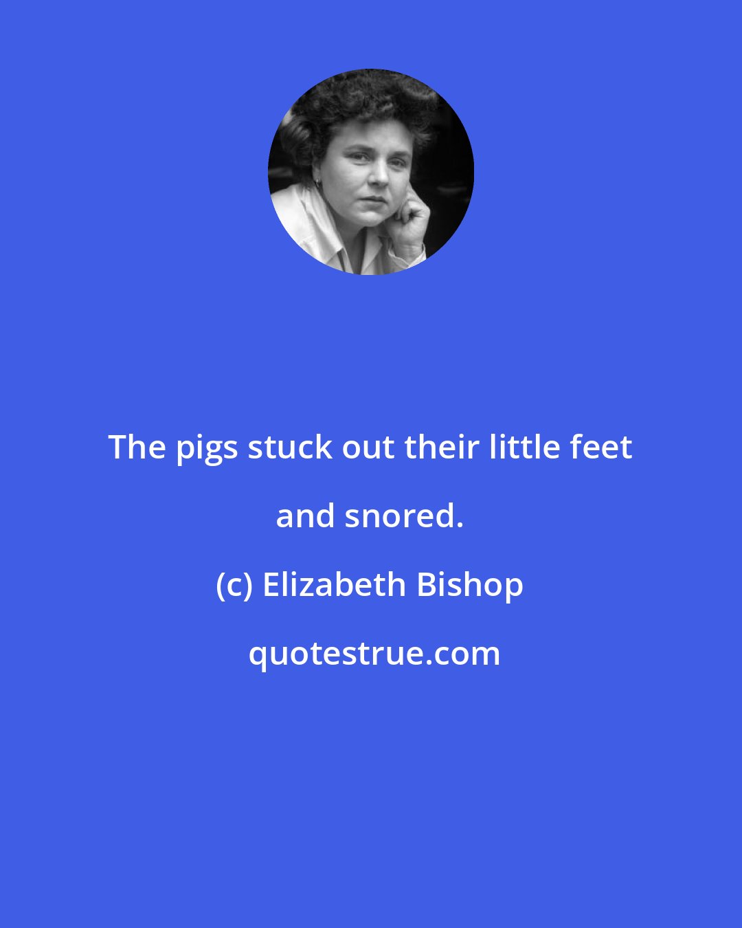 Elizabeth Bishop: The pigs stuck out their little feet and snored.