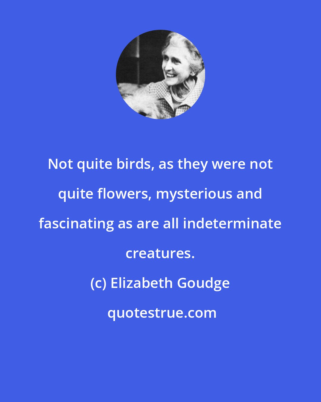 Elizabeth Goudge: Not quite birds, as they were not quite flowers, mysterious and fascinating as are all indeterminate creatures.