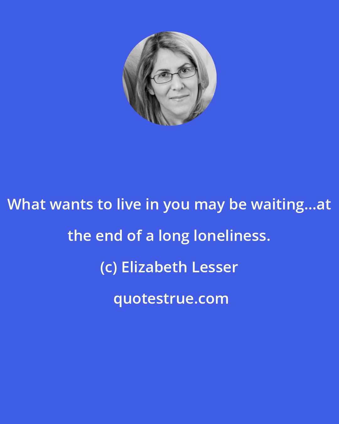 Elizabeth Lesser: What wants to live in you may be waiting...at the end of a long loneliness.