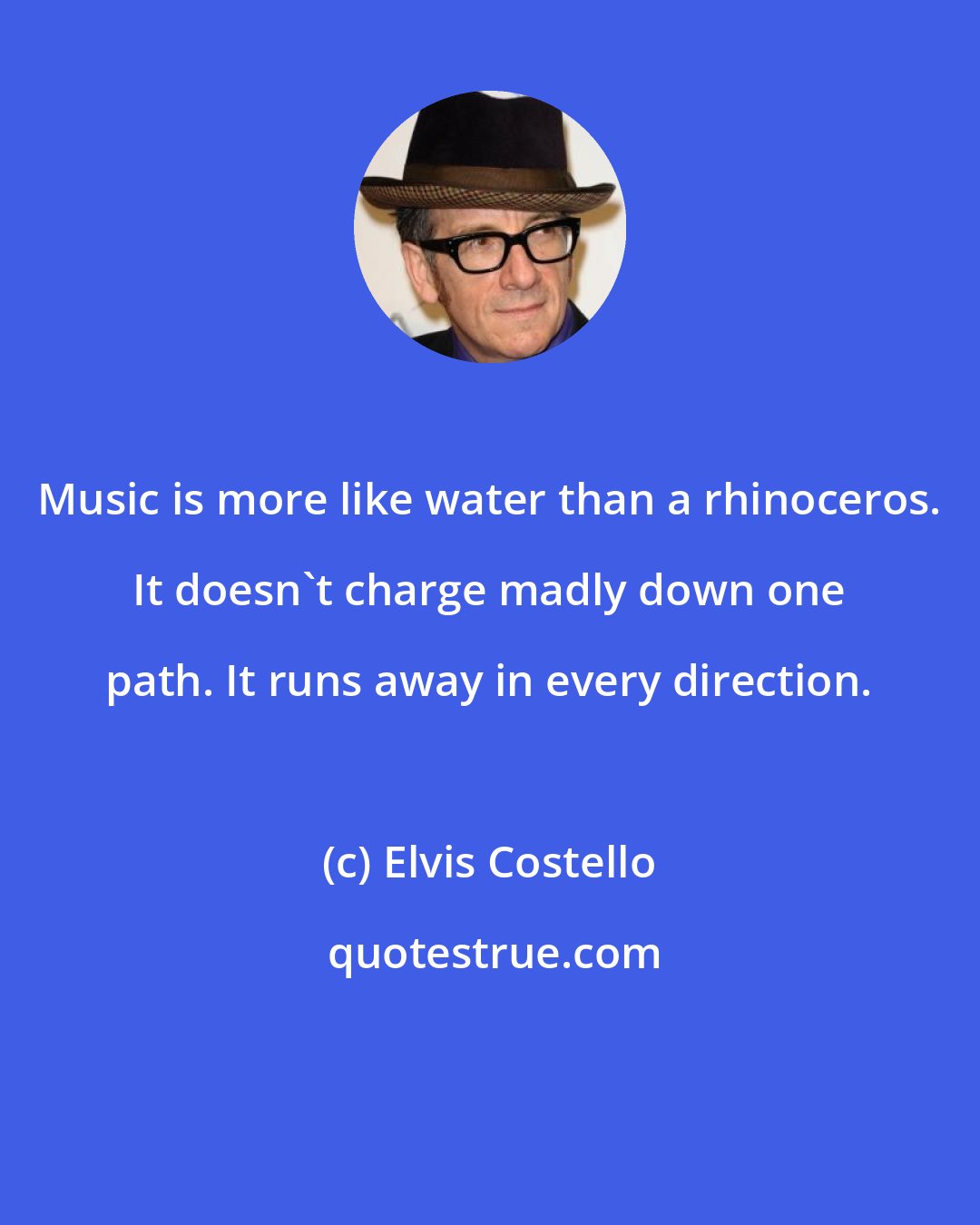 Elvis Costello: Music is more like water than a rhinoceros. It doesn't charge madly down one path. It runs away in every direction.