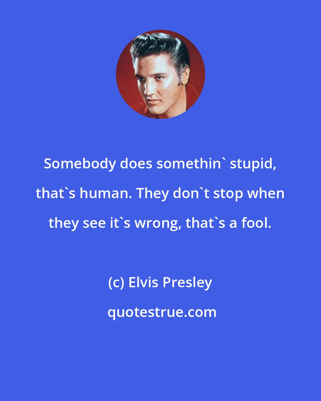 Elvis Presley: Somebody does somethin' stupid, that's human. They don't stop when they see it's wrong, that's a fool.