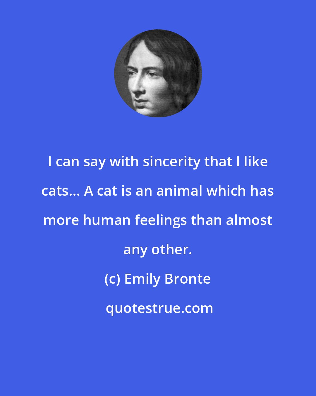 Emily Bronte: I can say with sincerity that I like cats... A cat is an animal which has more human feelings than almost any other.