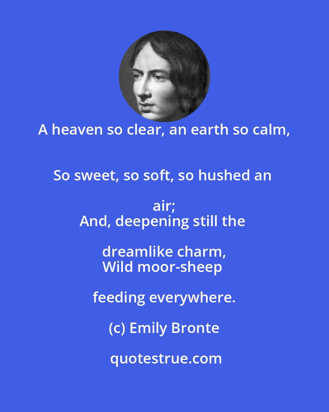 Emily Bronte: A heaven so clear, an earth so calm, 
So sweet, so soft, so hushed an air; 
And, deepening still the dreamlike charm, 
Wild moor-sheep feeding everywhere.