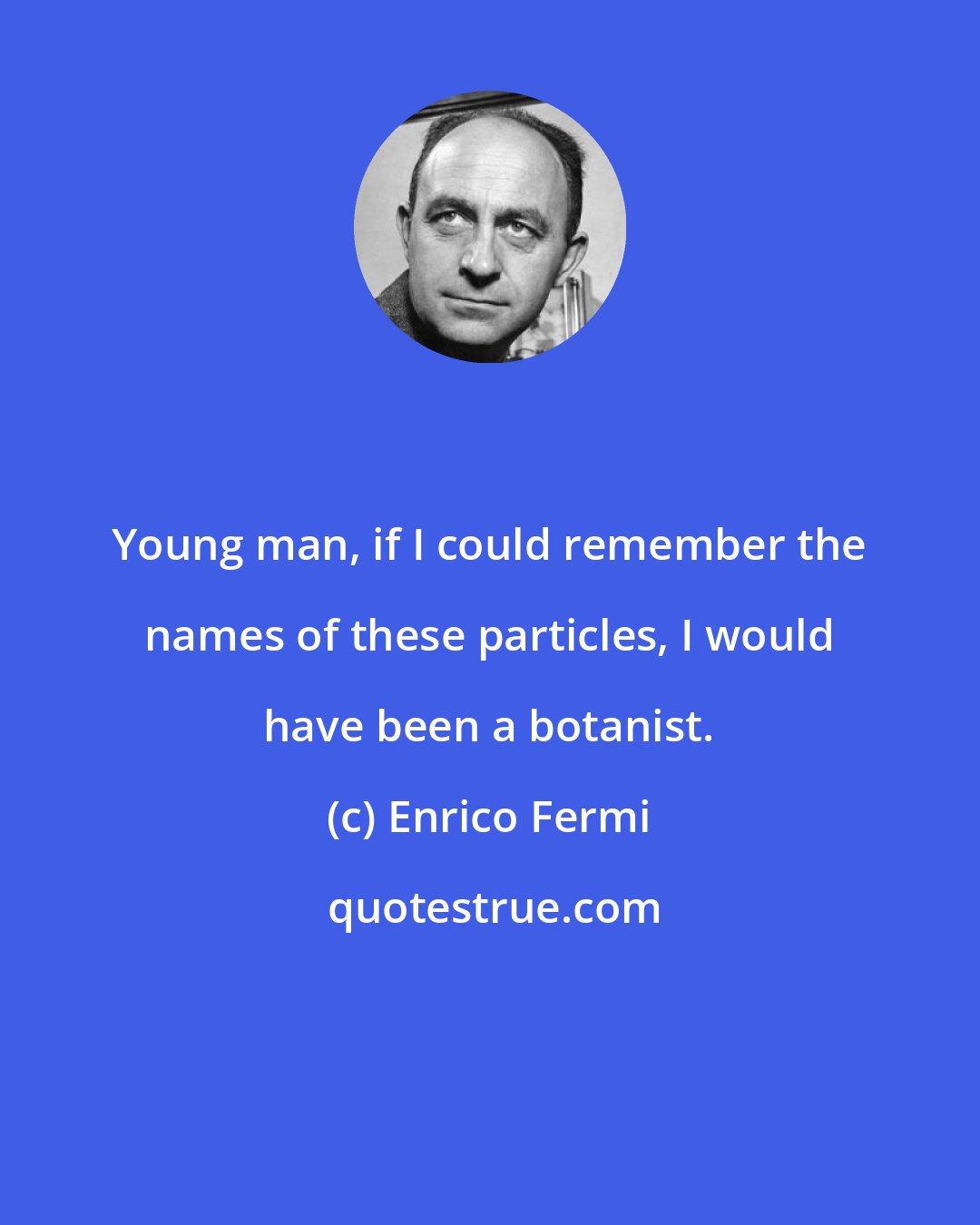 Enrico Fermi: Young man, if I could remember the names of these particles, I would have been a botanist.