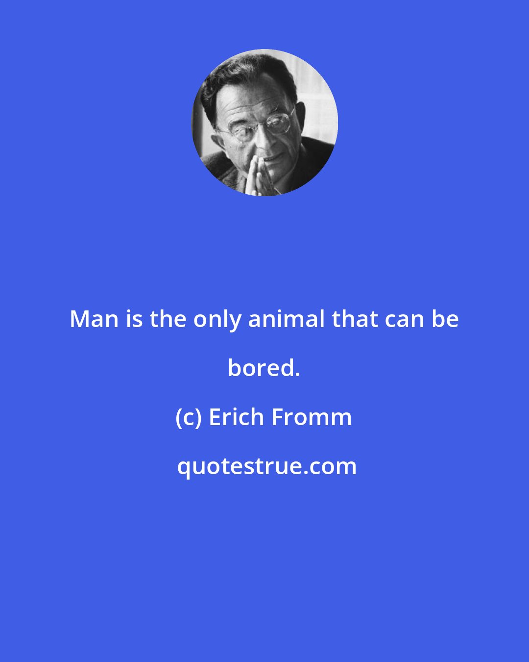 Erich Fromm: Man is the only animal that can be bored.