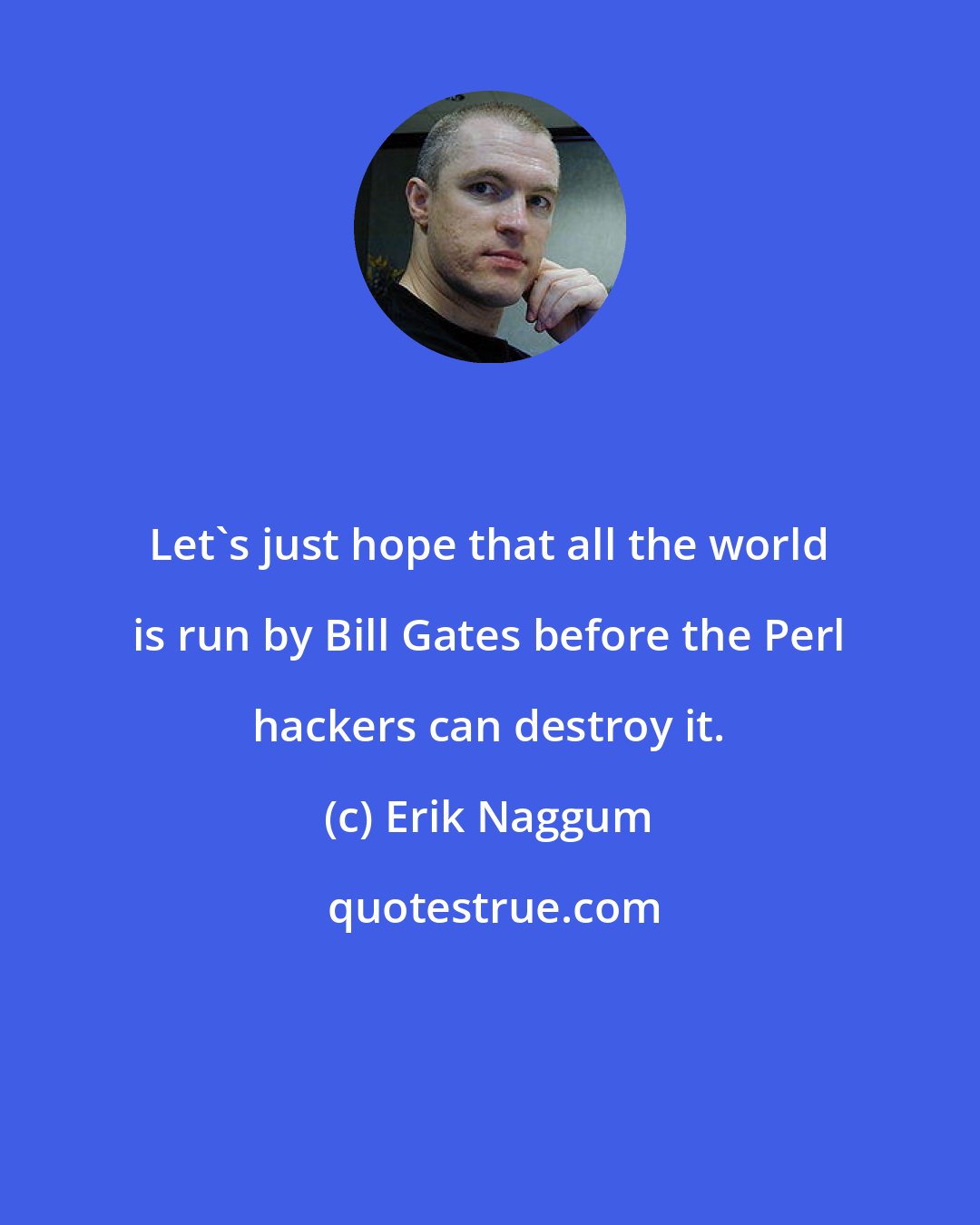 Erik Naggum: Let's just hope that all the world is run by Bill Gates before the Perl hackers can destroy it.