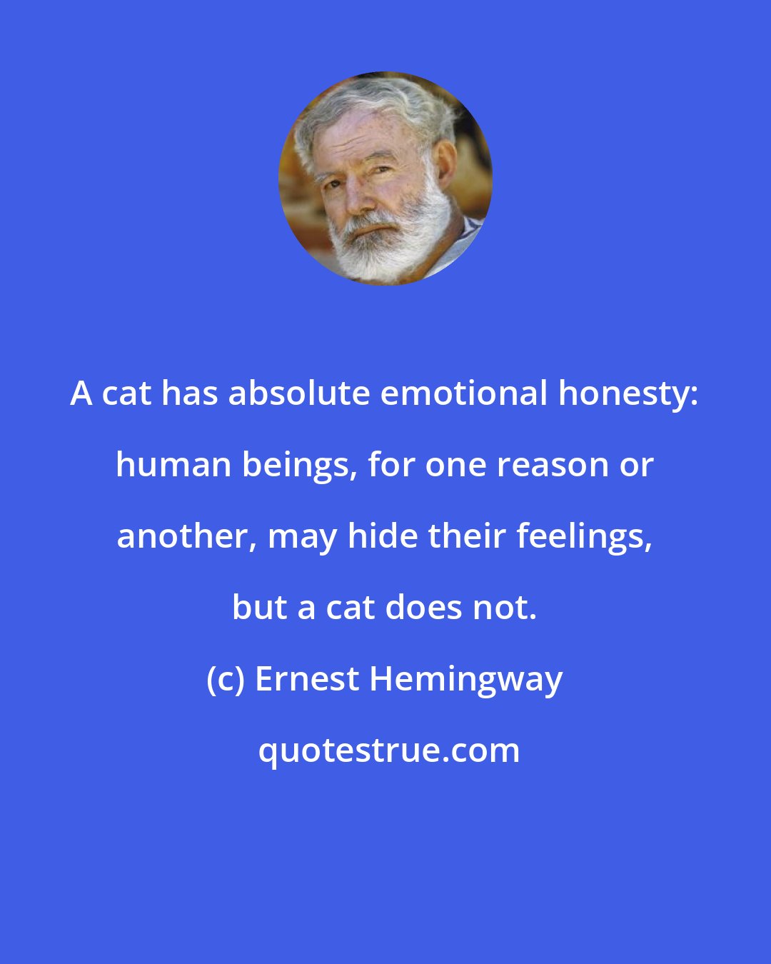 Ernest Hemingway: A cat has absolute emotional honesty: human beings, for one reason or another, may hide their feelings, but a cat does not.