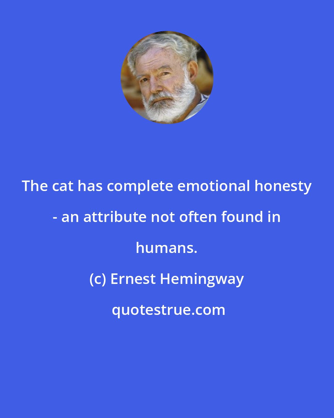 Ernest Hemingway: The cat has complete emotional honesty - an attribute not often found in humans.