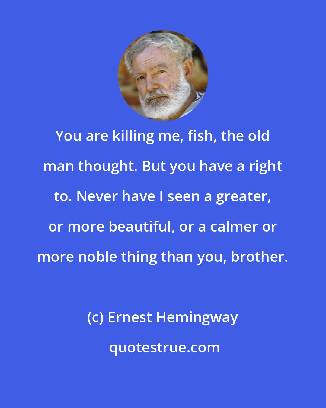 Ernest Hemingway: You are killing me, fish, the old man thought. But you have a right to. Never have I seen a greater, or more beautiful, or a calmer or more noble thing than you, brother.