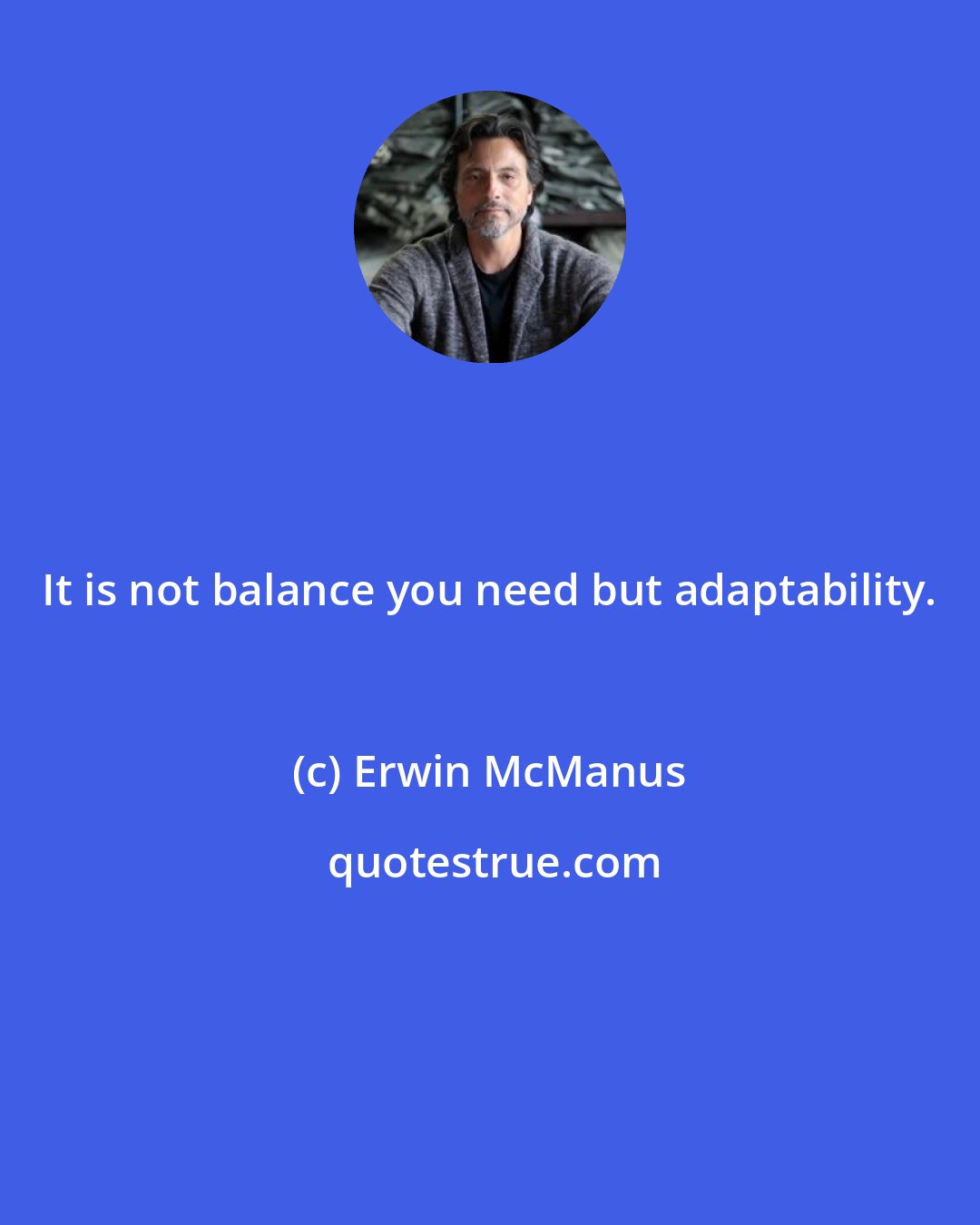 Erwin McManus: It is not balance you need but adaptability.