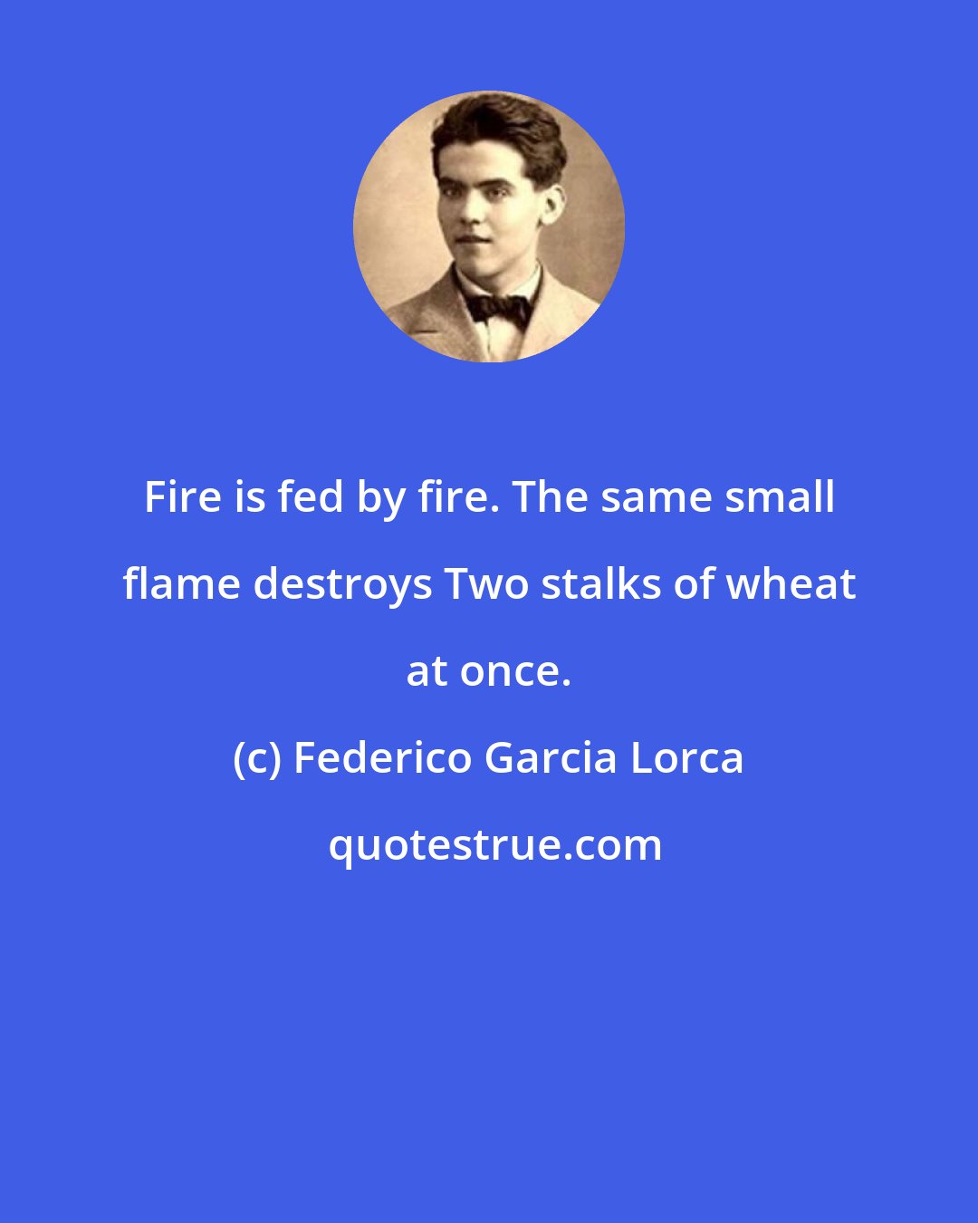 Federico Garcia Lorca: Fire is fed by fire. The same small flame destroys Two stalks of wheat at once.