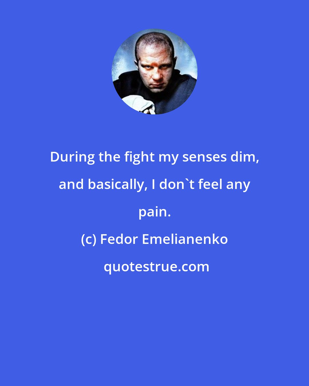 Fedor Emelianenko: During the fight my senses dim, and basically, I don't feel any pain.