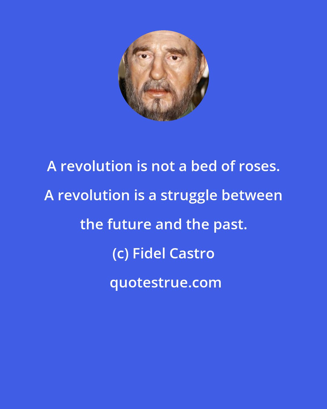 Fidel Castro: A revolution is not a bed of roses. A revolution is a struggle between the future and the past.