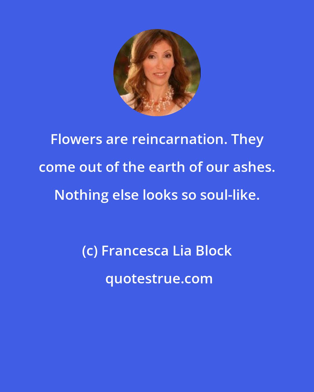 Francesca Lia Block: Flowers are reincarnation. They come out of the earth of our ashes. Nothing else looks so soul-like.