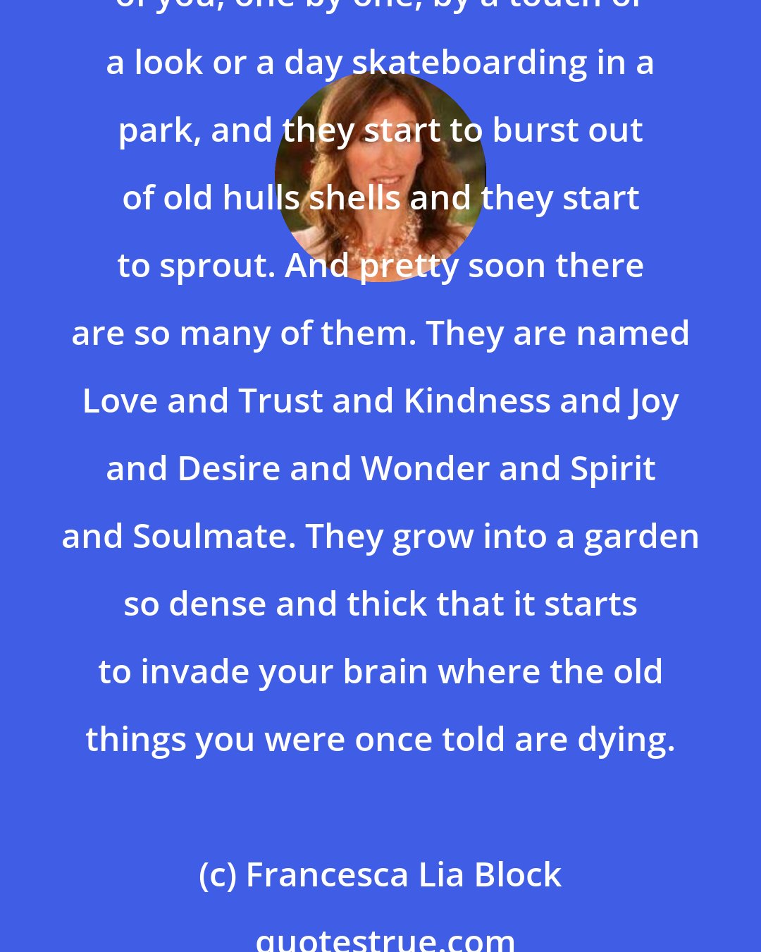 Francesca Lia Block: Nothing happened. And everything did. Your whole life you can be told something is wrong and so you believe it. Why should you question it? But then slowly seeds are planted inside of you, one by one, by a touch or a look or a day skateboarding in a park, and they start to burst out of old hulls shells and they start to sprout. And pretty soon there are so many of them. They are named Love and Trust and Kindness and Joy and Desire and Wonder and Spirit and Soulmate. They grow into a garden so dense and thick that it starts to invade your brain where the old things you were once told are dying.