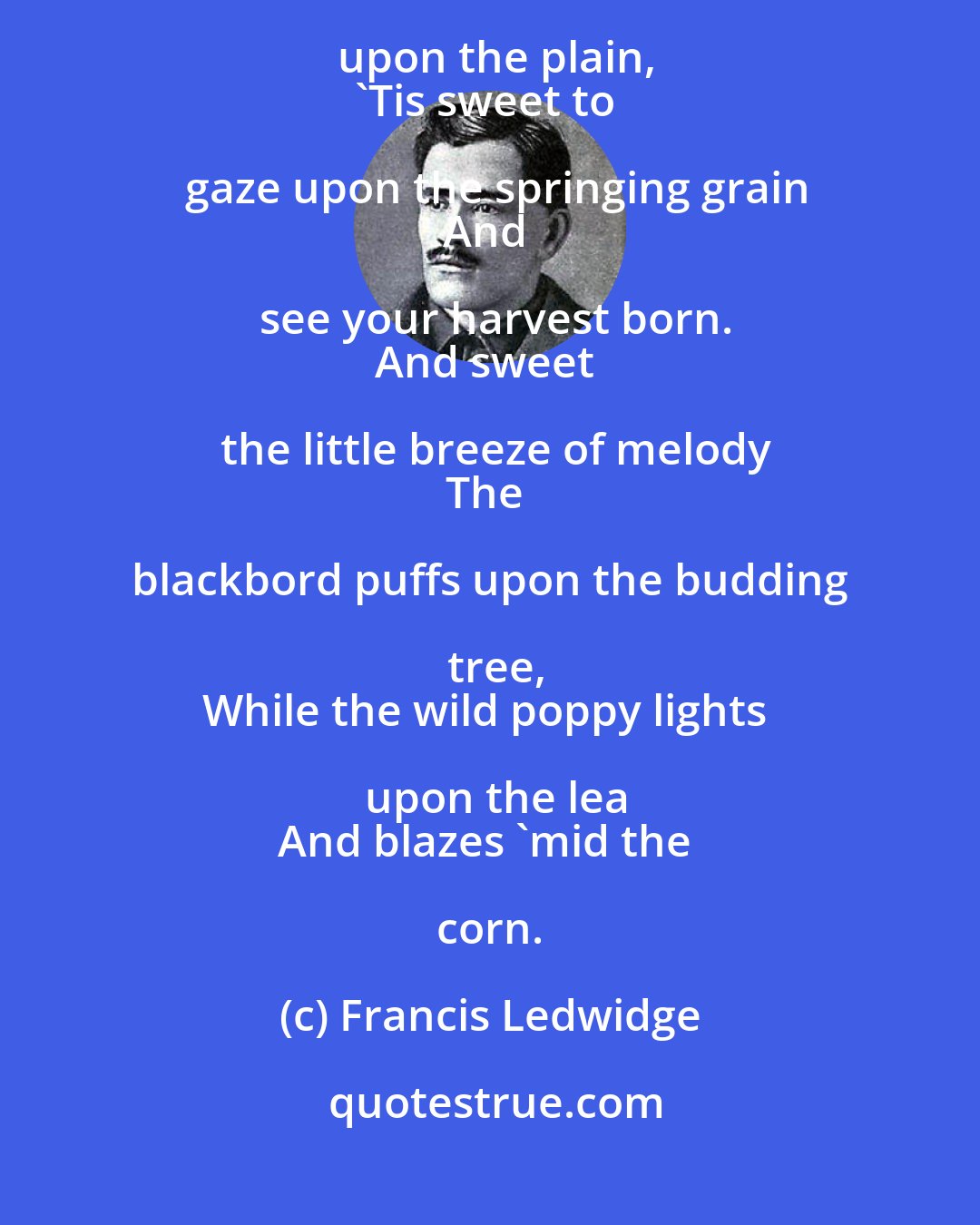 Francis Ledwidge: When the clouds shake their hyssops, and the rain
Like holy water falls upon the plain,
'Tis sweet to gaze upon the springing grain
And see your harvest born.
And sweet the little breeze of melody
The blackbord puffs upon the budding tree,
While the wild poppy lights upon the lea
And blazes 'mid the corn.