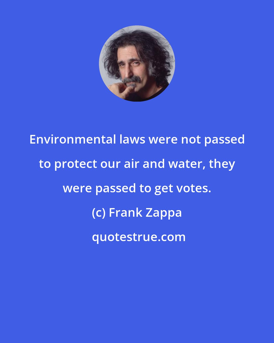 Frank Zappa: Environmental laws were not passed to protect our air and water, they were passed to get votes.