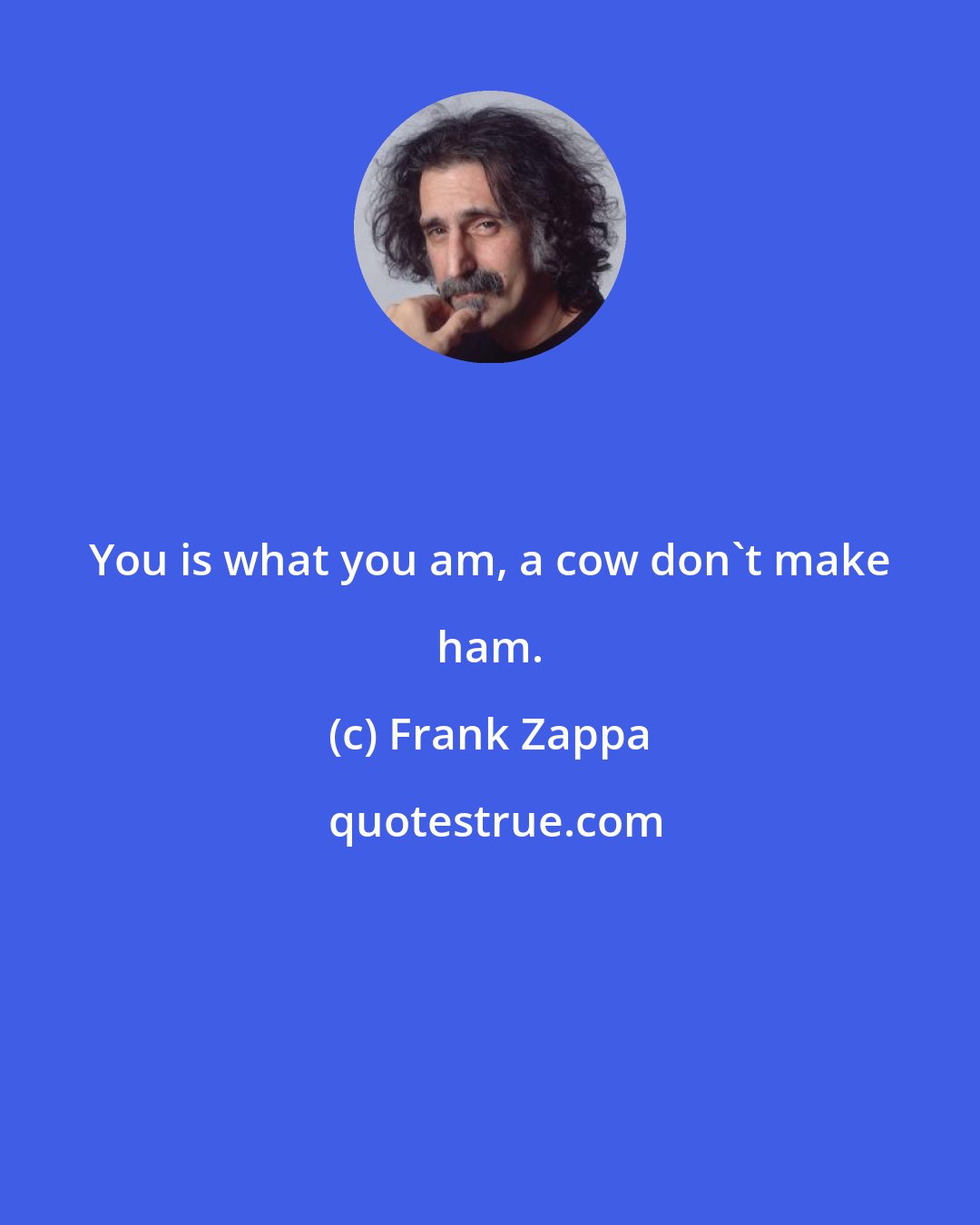 Frank Zappa: You is what you am, a cow don't make ham.