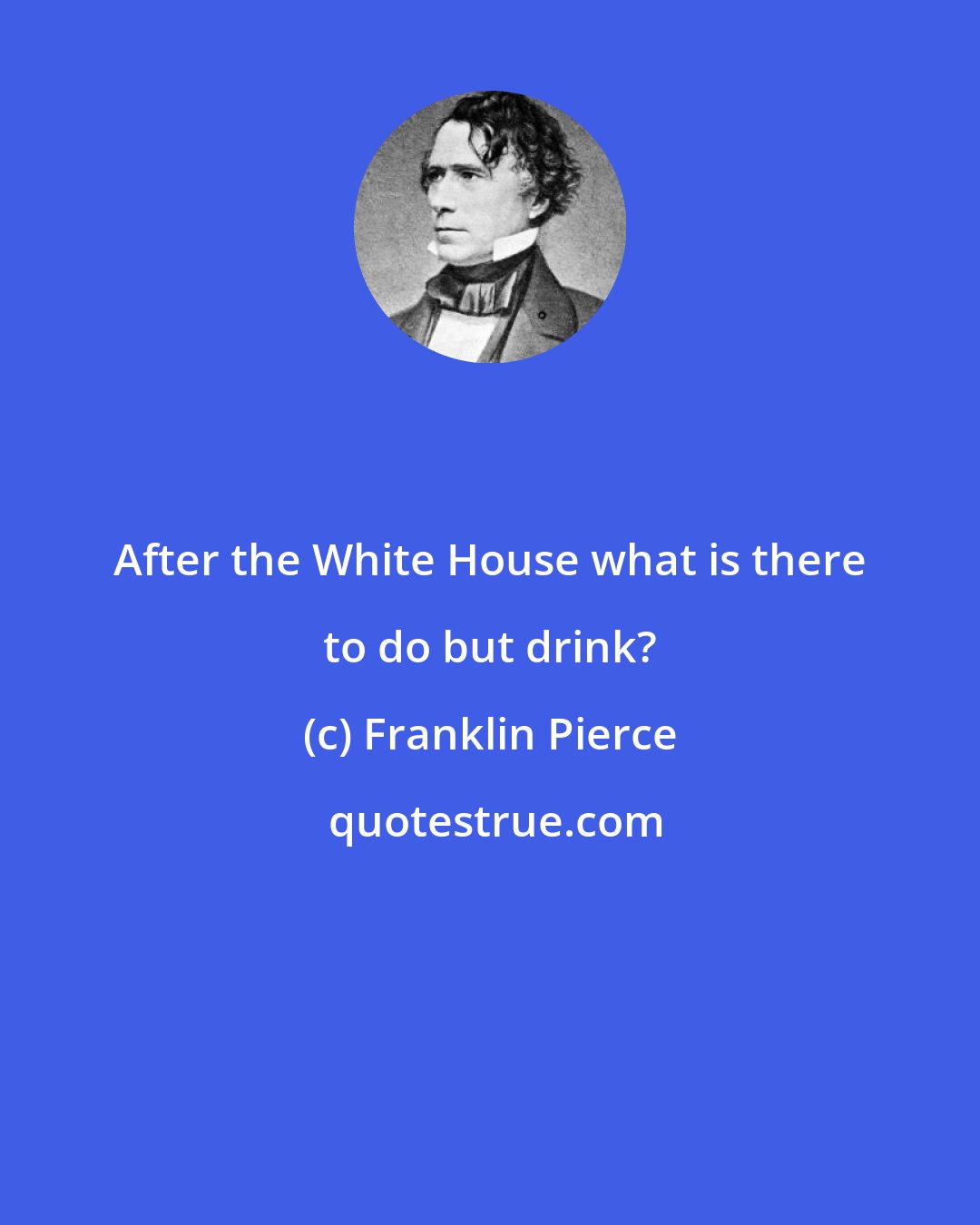 Franklin Pierce: After the White House what is there to do but drink?