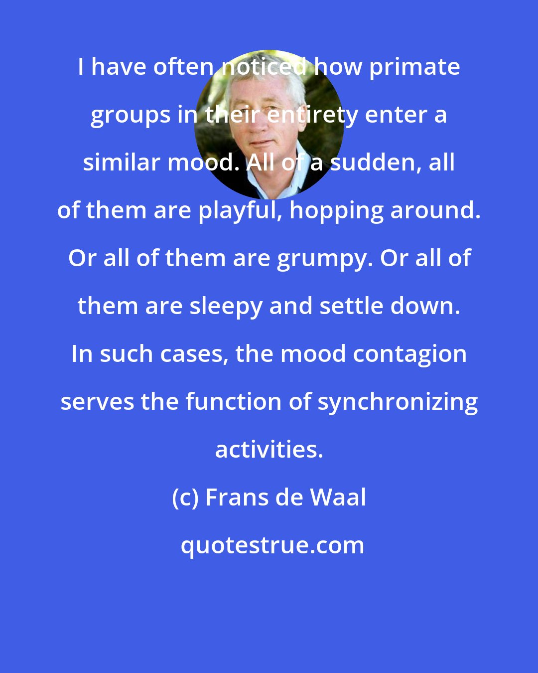 Frans de Waal: I have often noticed how primate groups in their entirety enter a similar mood. All of a sudden, all of them are playful, hopping around. Or all of them are grumpy. Or all of them are sleepy and settle down. In such cases, the mood contagion serves the function of synchronizing activities.