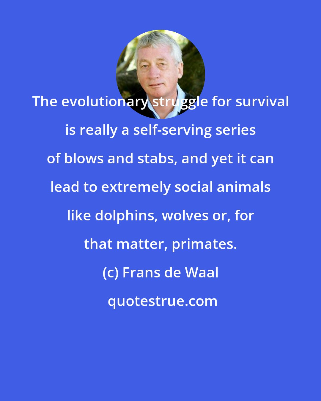Frans de Waal: The evolutionary struggle for survival is really a self-serving series of blows and stabs, and yet it can lead to extremely social animals like dolphins, wolves or, for that matter, primates.