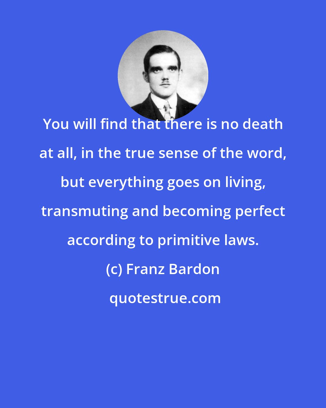 Franz Bardon: You will find that there is no death at all, in the true sense of the word, but everything goes on living, transmuting and becoming perfect according to primitive laws.