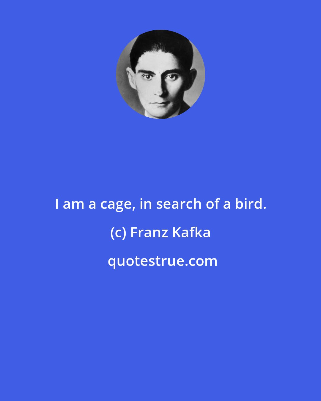 Franz Kafka: I am a cage, in search of a bird.