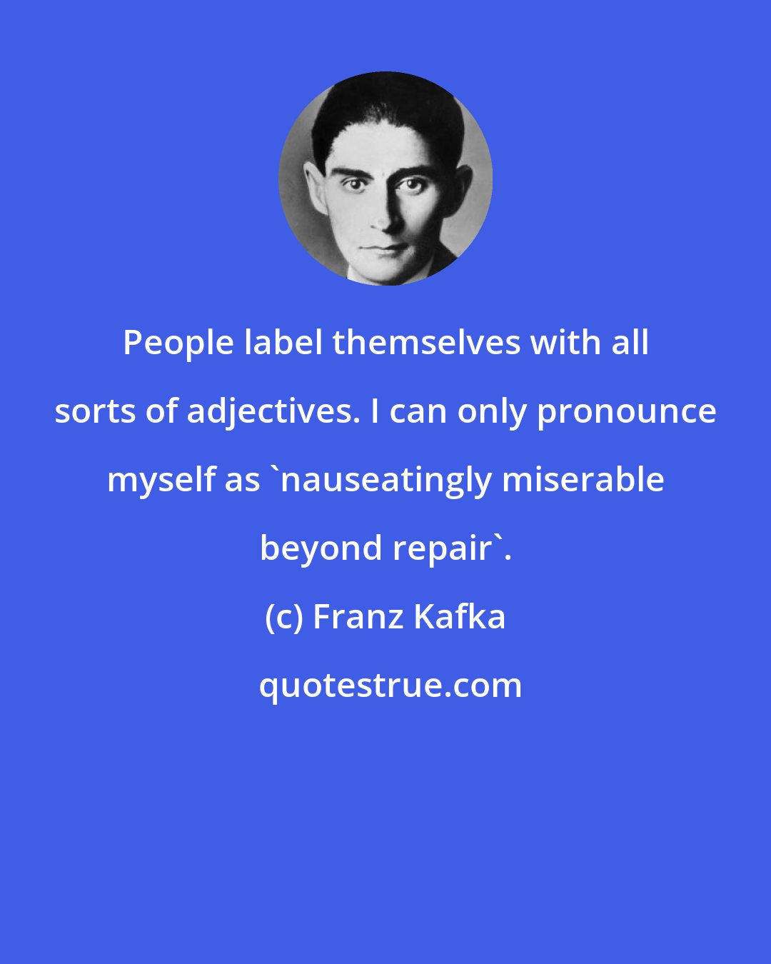 Franz Kafka: People label themselves with all sorts of adjectives. I can only pronounce myself as 'nauseatingly miserable beyond repair'.