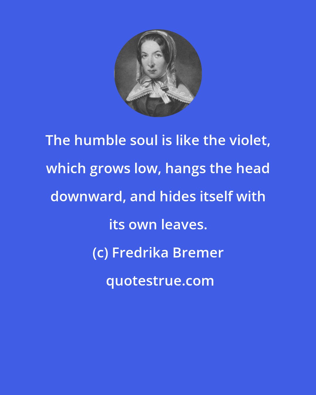 Fredrika Bremer: The humble soul is like the violet, which grows low, hangs the head downward, and hides itself with its own leaves.