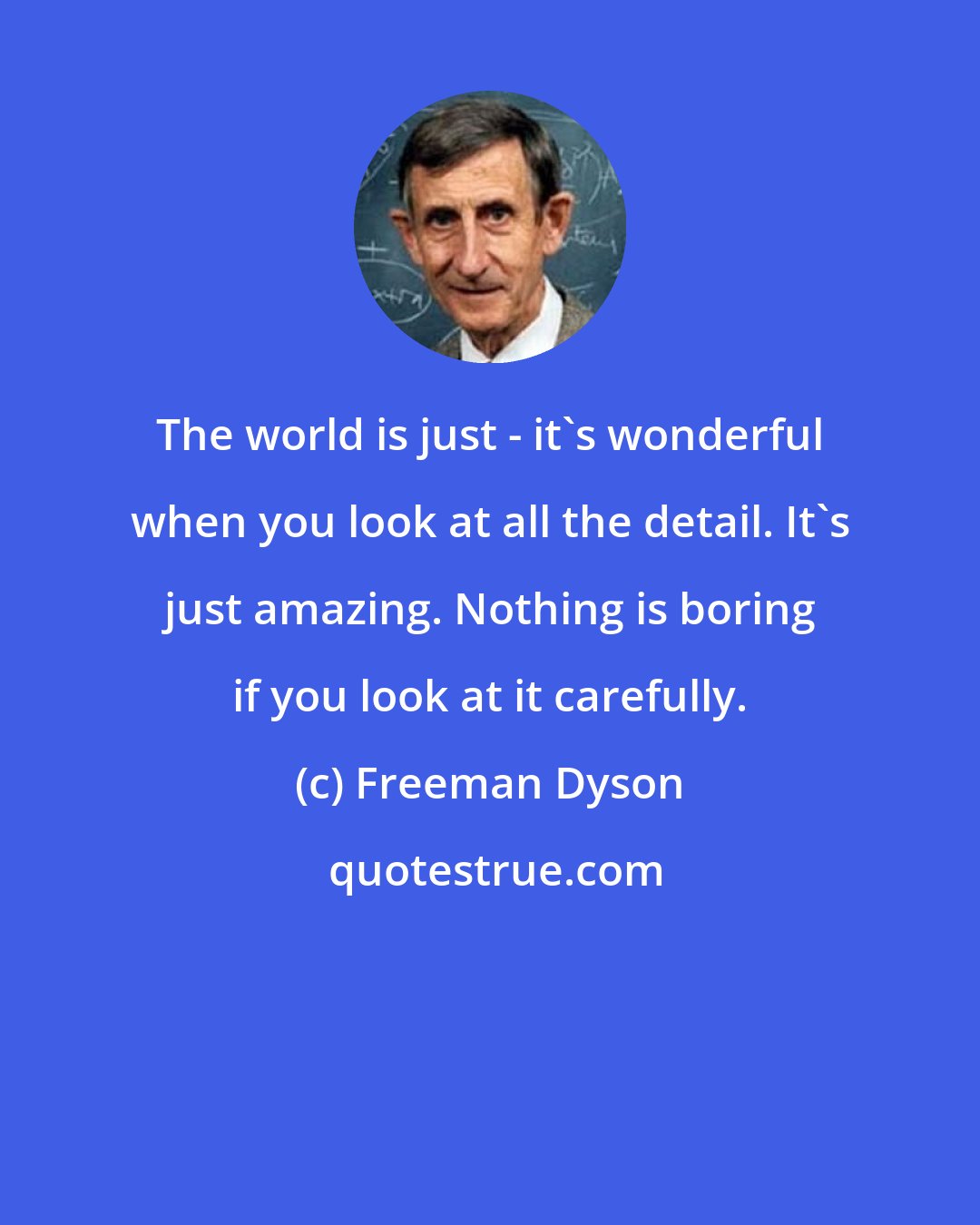 Freeman Dyson: The world is just - it's wonderful when you look at all the detail. It's just amazing. Nothing is boring if you look at it carefully.